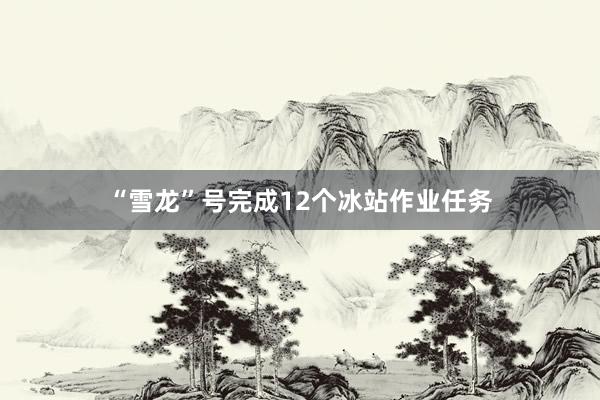 “雪龙”号完成12个冰站作业任务