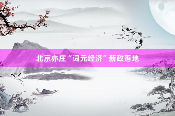 北京亦庄“词元经济”新政落地