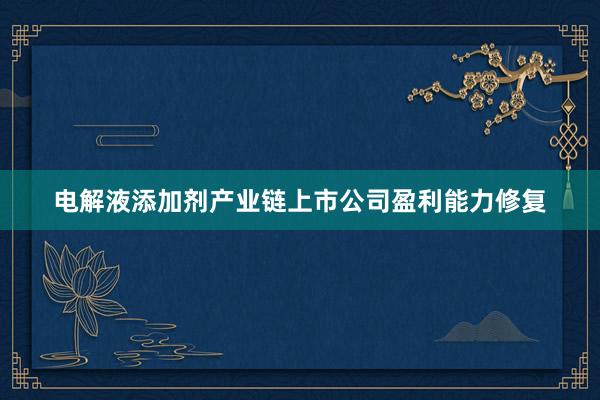 电解液添加剂产业链上市公司盈利能力修复