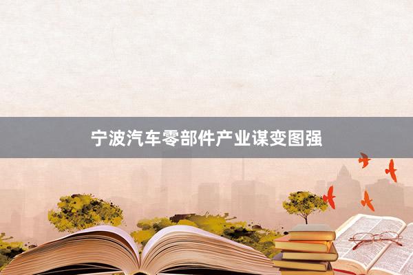 宁波汽车零部件产业谋变图强
