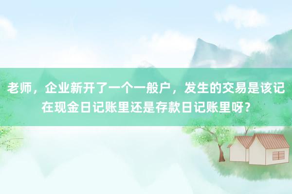 老师，企业新开了一个一般户，发生的交易是该记在现金日记账里还是存款日记账里呀？