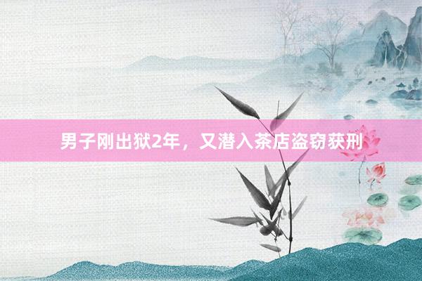 男子刚出狱2年，又潜入茶店盗窃获刑