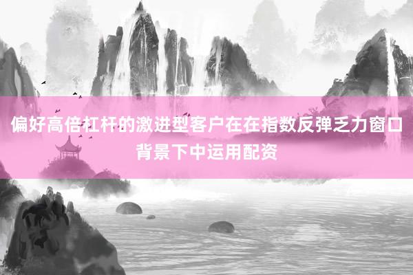 偏好高倍杠杆的激进型客户在在指数反弹乏力窗口背景下中运用配资