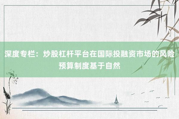 深度专栏：炒股杠杆平台在国际投融资市场的风险预算制度基于自然