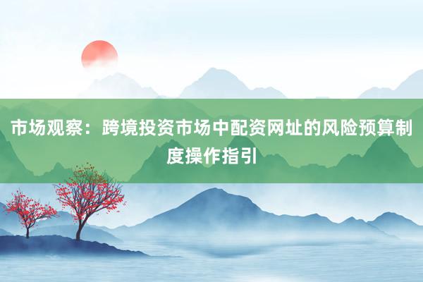 市场观察：跨境投资市场中配资网址的风险预算制度操作指引