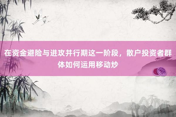 在资金避险与进攻并行期这一阶段，散户投资者群体如何运用移动炒