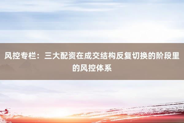风控专栏：三大配资在成交结构反复切换的阶段里的风控体系
