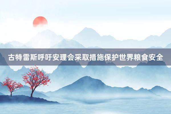 古特雷斯呼吁安理会采取措施保护世界粮食安全