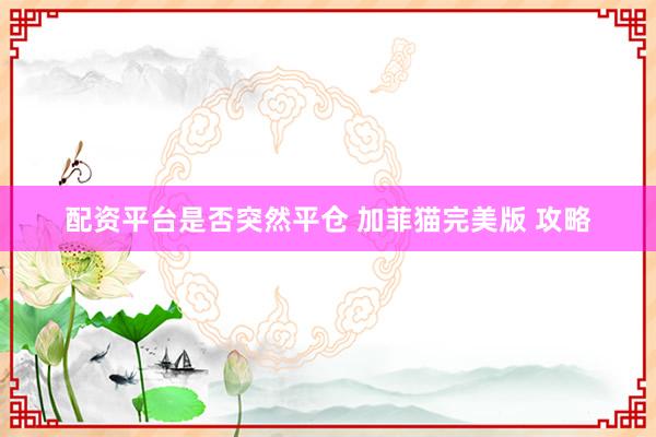 配资平台是否突然平仓 加菲猫完美版 攻略