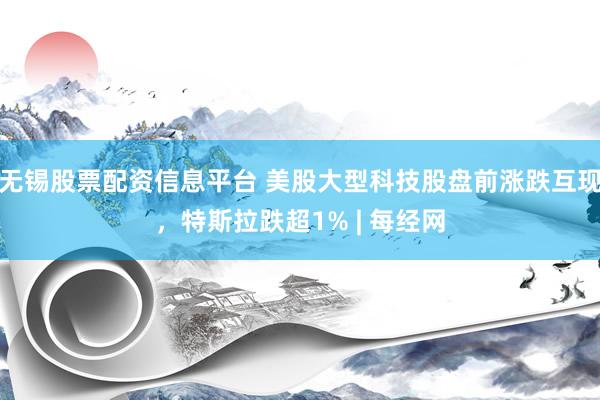 无锡股票配资信息平台 美股大型科技股盘前涨跌互现，特斯拉跌超1% | 每经网
