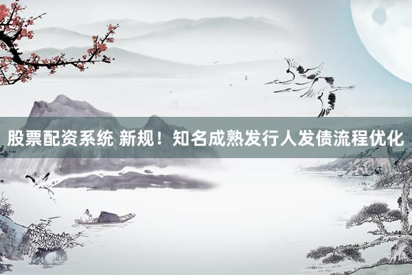股票配资系统 新规！知名成熟发行人发债流程优化