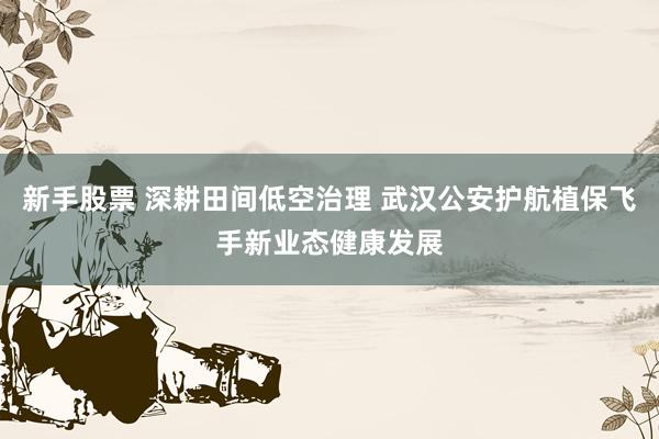 新手股票 深耕田间低空治理 武汉公安护航植保飞手新业态健康发展