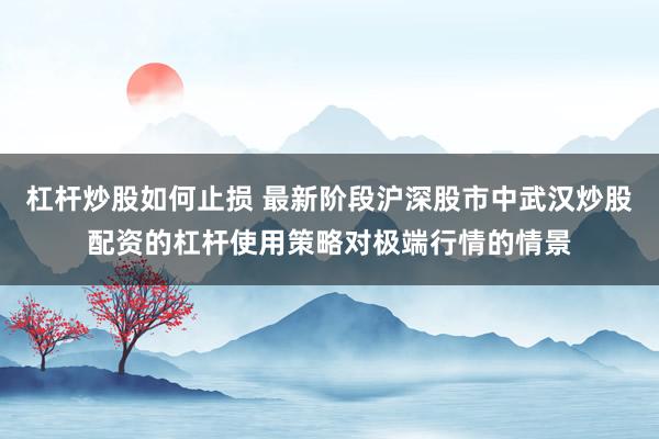 杠杆炒股如何止损 最新阶段沪深股市中武汉炒股配资的杠杆使用策略对极端行情的情景